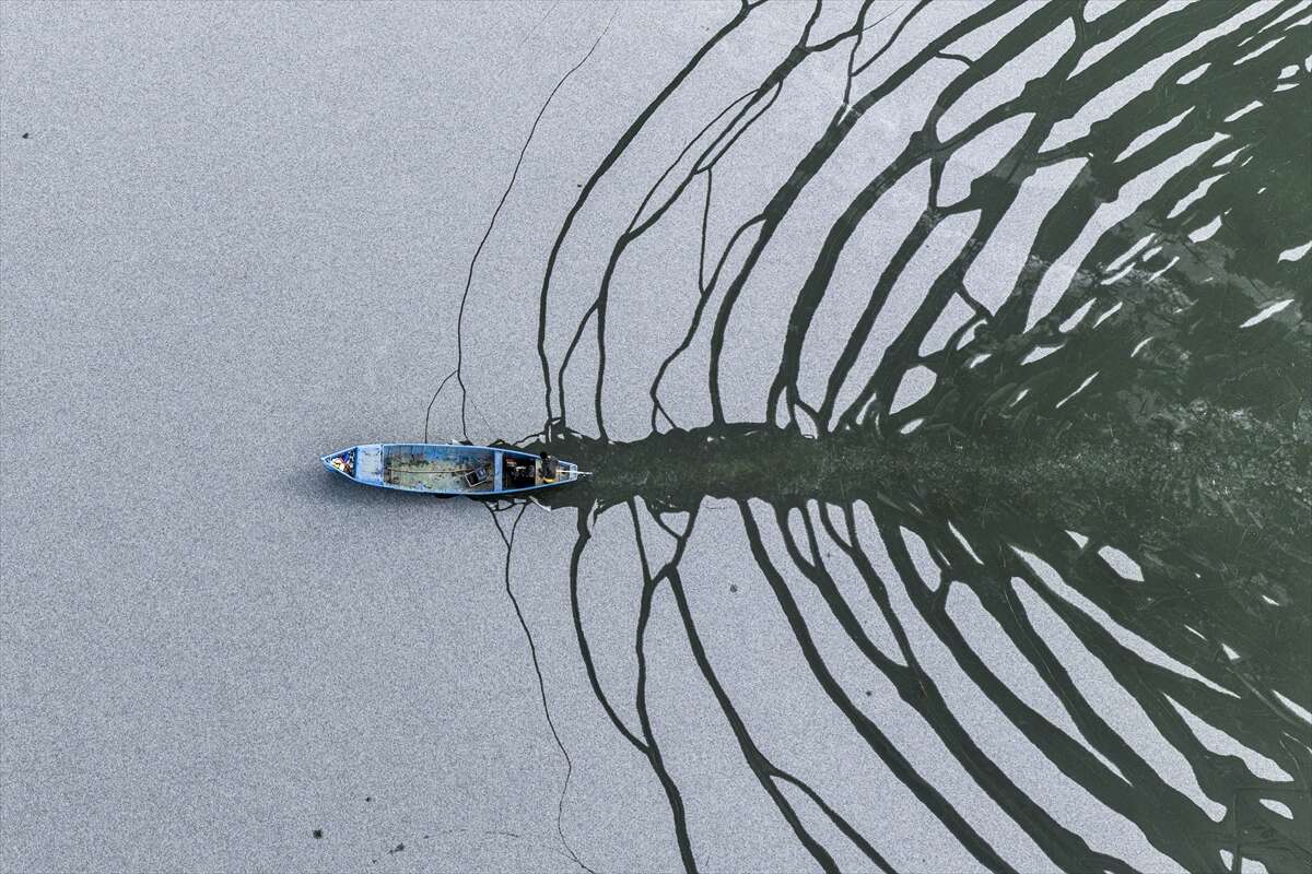 Yeniden hayat bulmaya başlayan Konya Beyşehir Gölü’nde ekmek kavgası 2